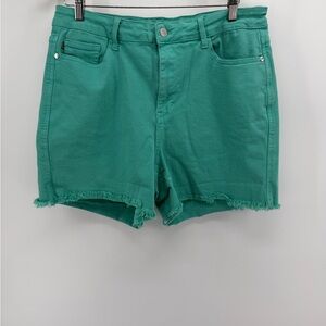 Judy Blue Teal Frayed Hem Denim Shorts
